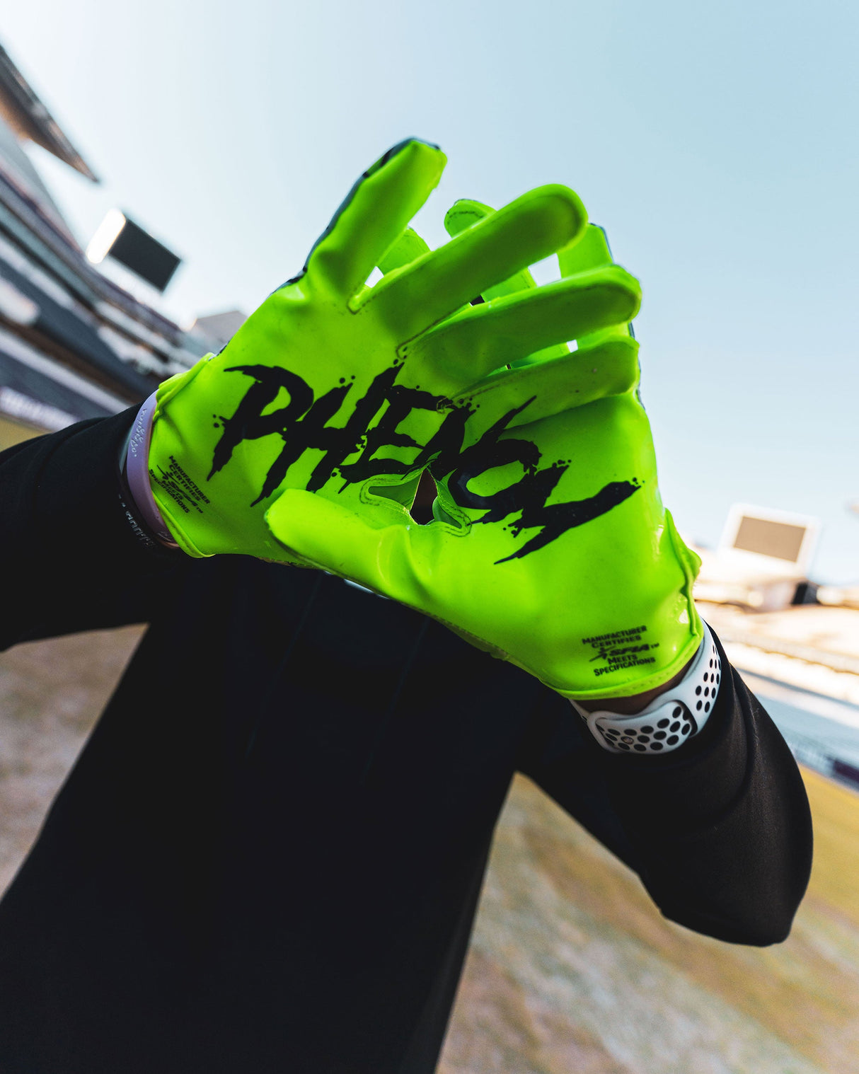 Phenom Elite Rick and Morty Football Gloves - VPS1