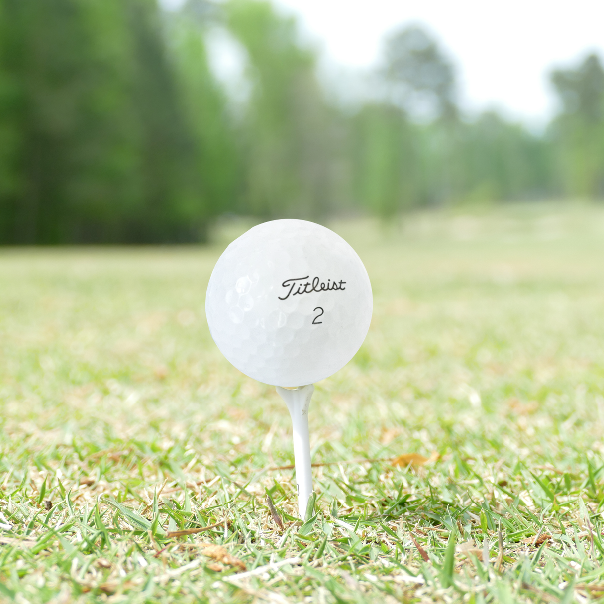 Used Titleist 2025 Pro V1 Golf Balls - 1 Dozen - Pro Game Sports