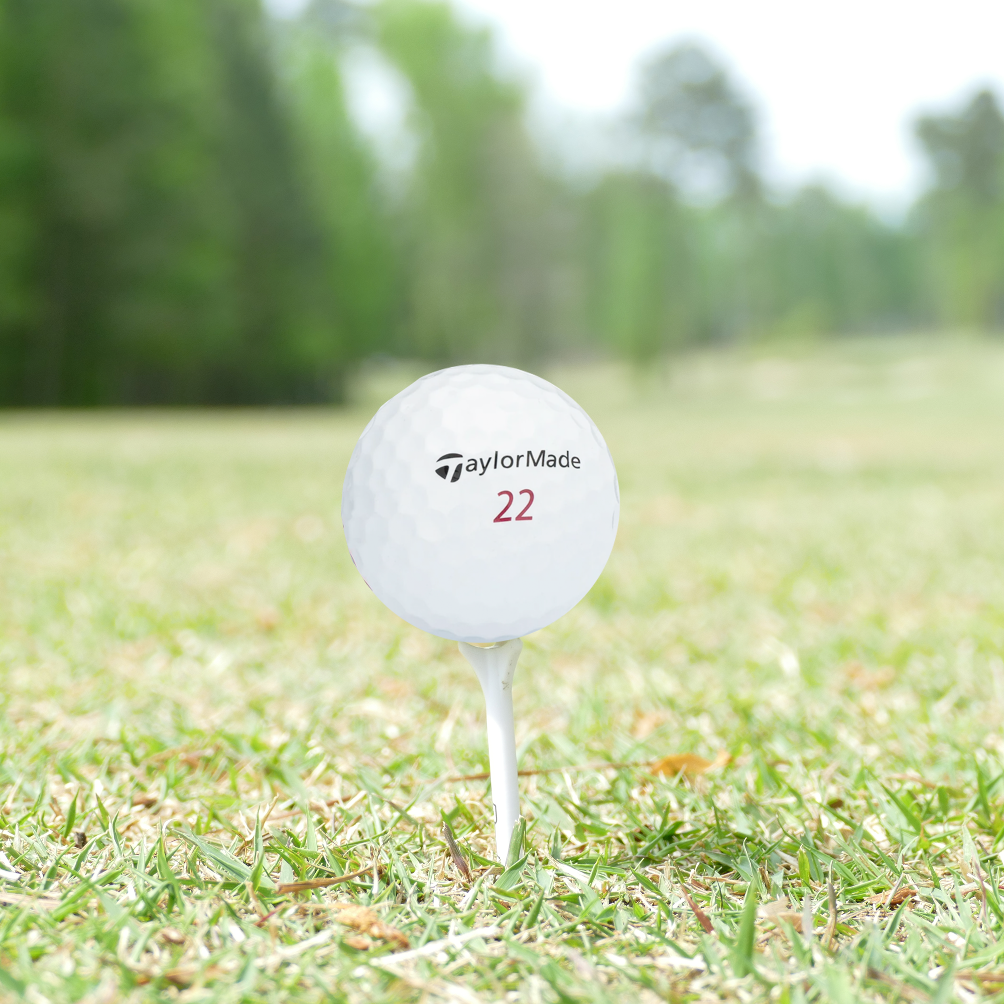 Used TaylorMade 2018 Project (a) Golf Balls - 1 Dozen