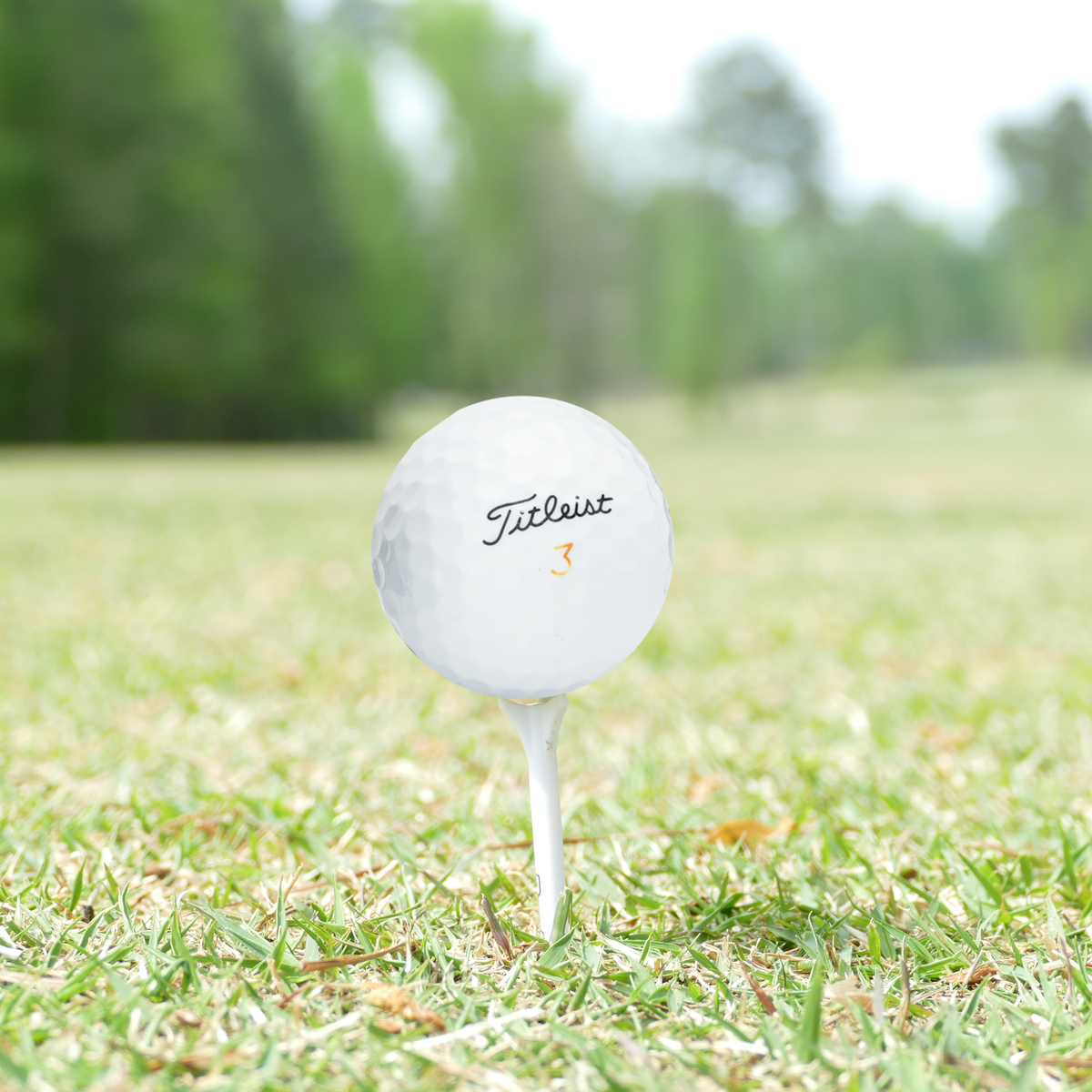 Used Titleist Velocity Golf Balls - 1 Dozen