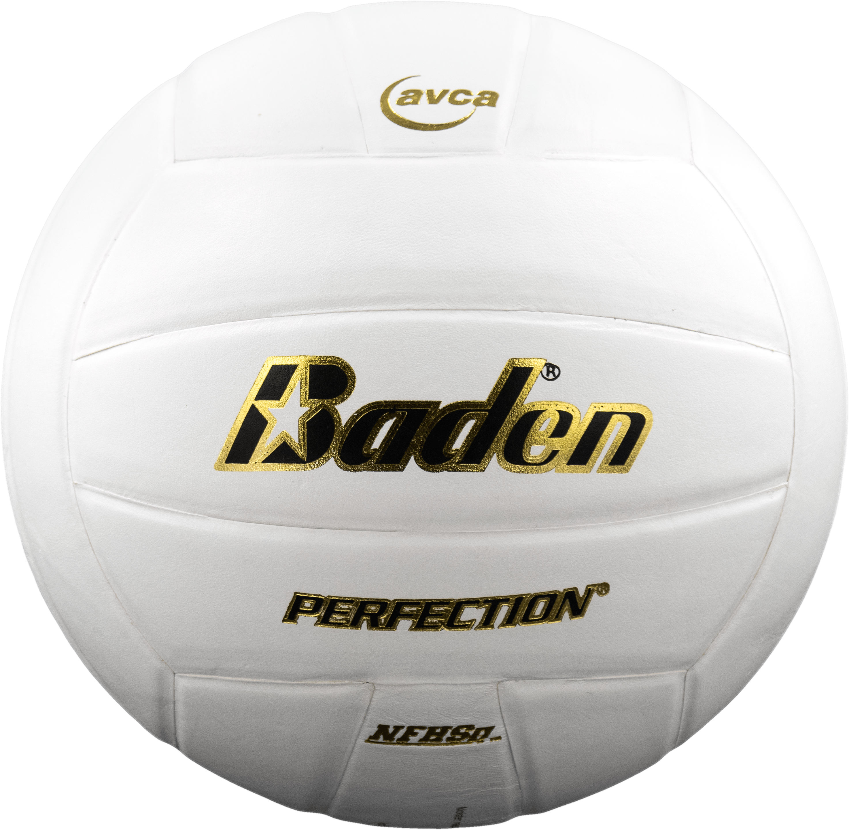 Perfection Leather Volleyball NFHS Stamped