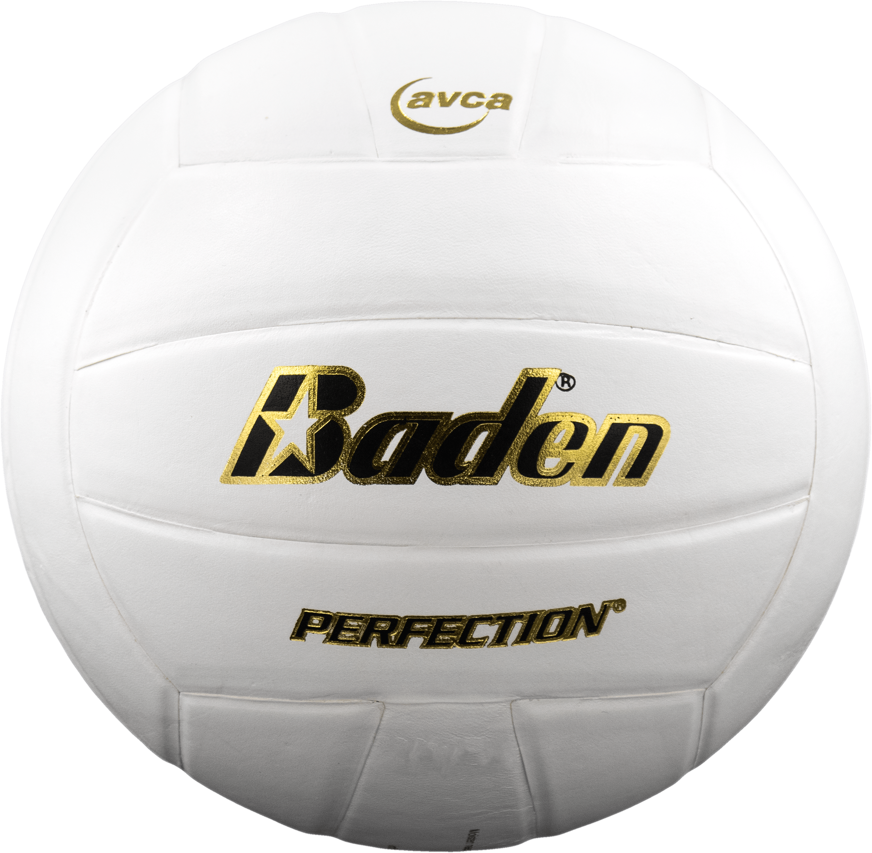 Perfection Leather Volleyball