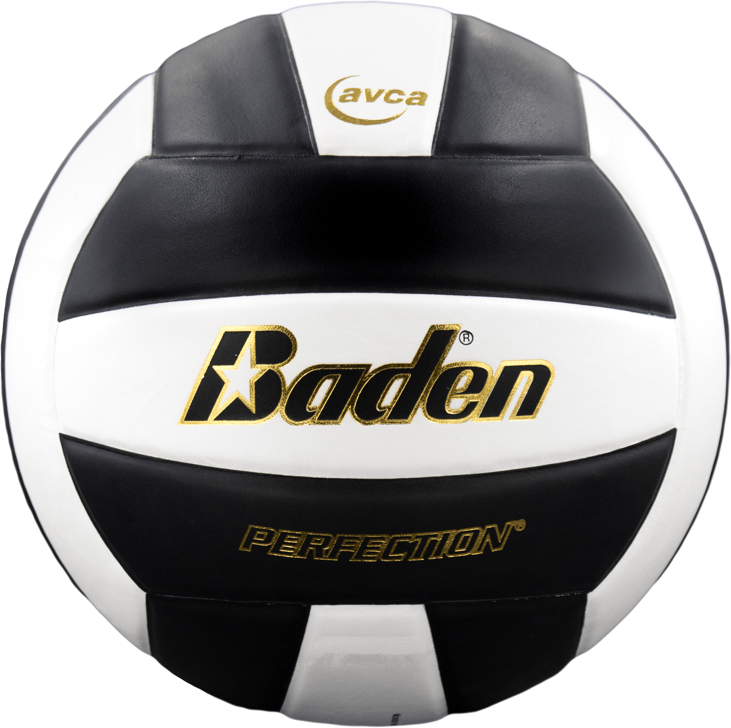 Perfection Leather Volleyball