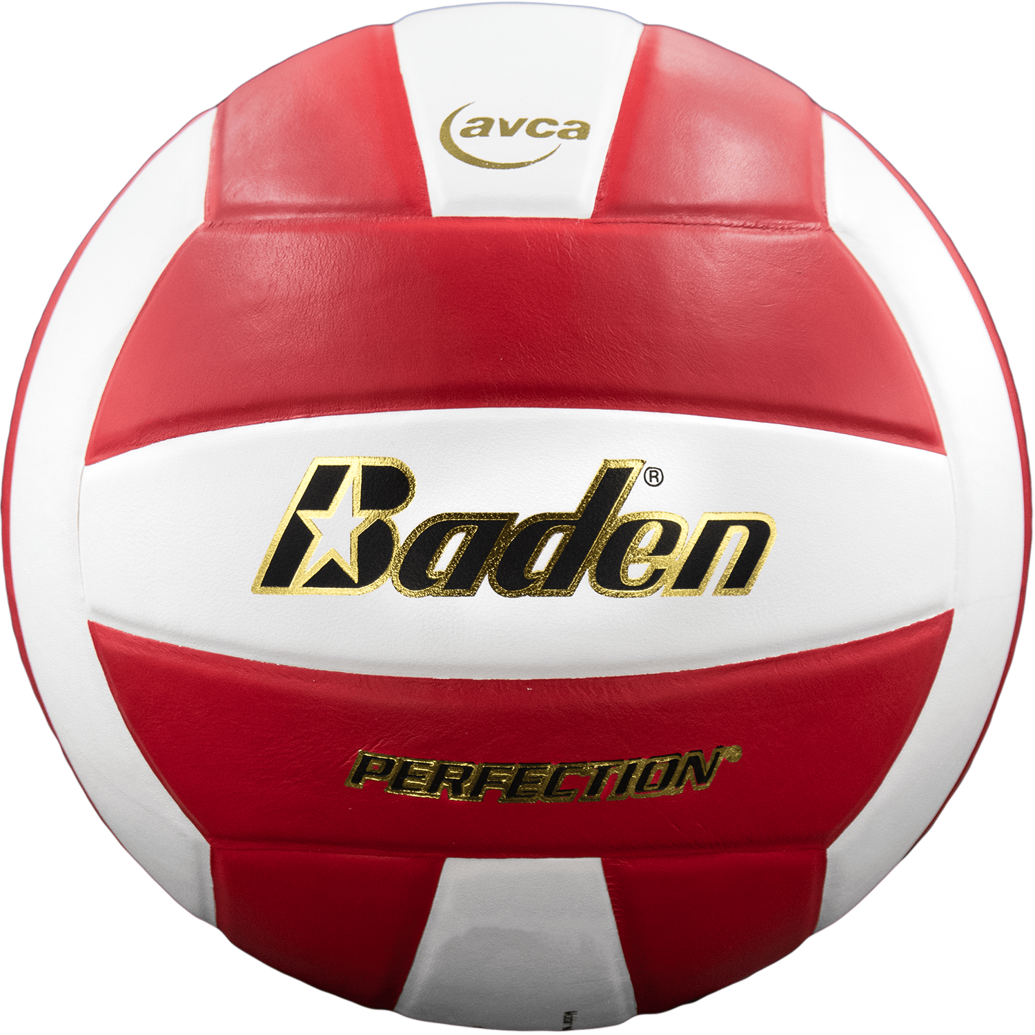 Perfection Leather Volleyball
