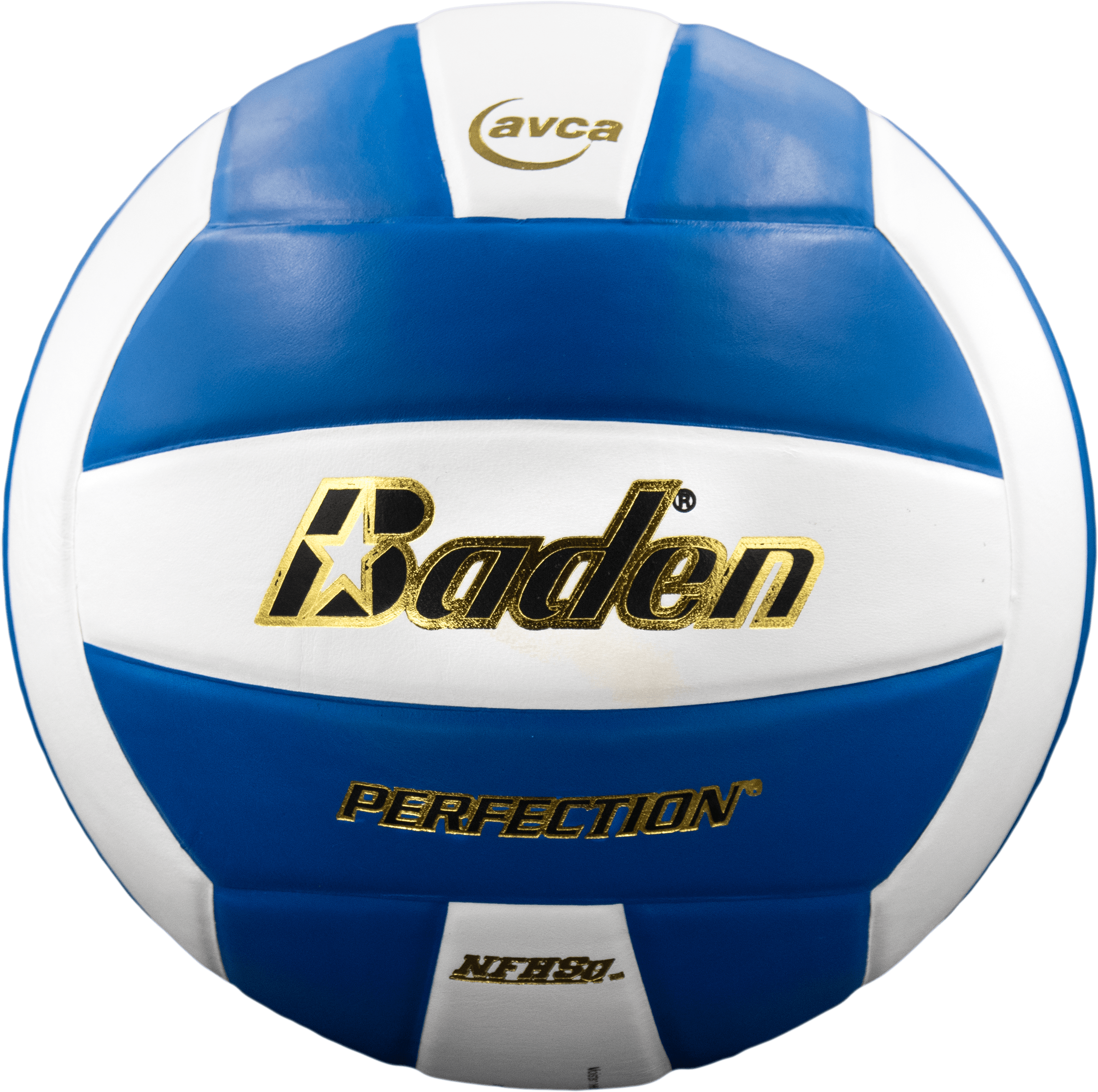 Perfection Leather Volleyball NFHS Stamped