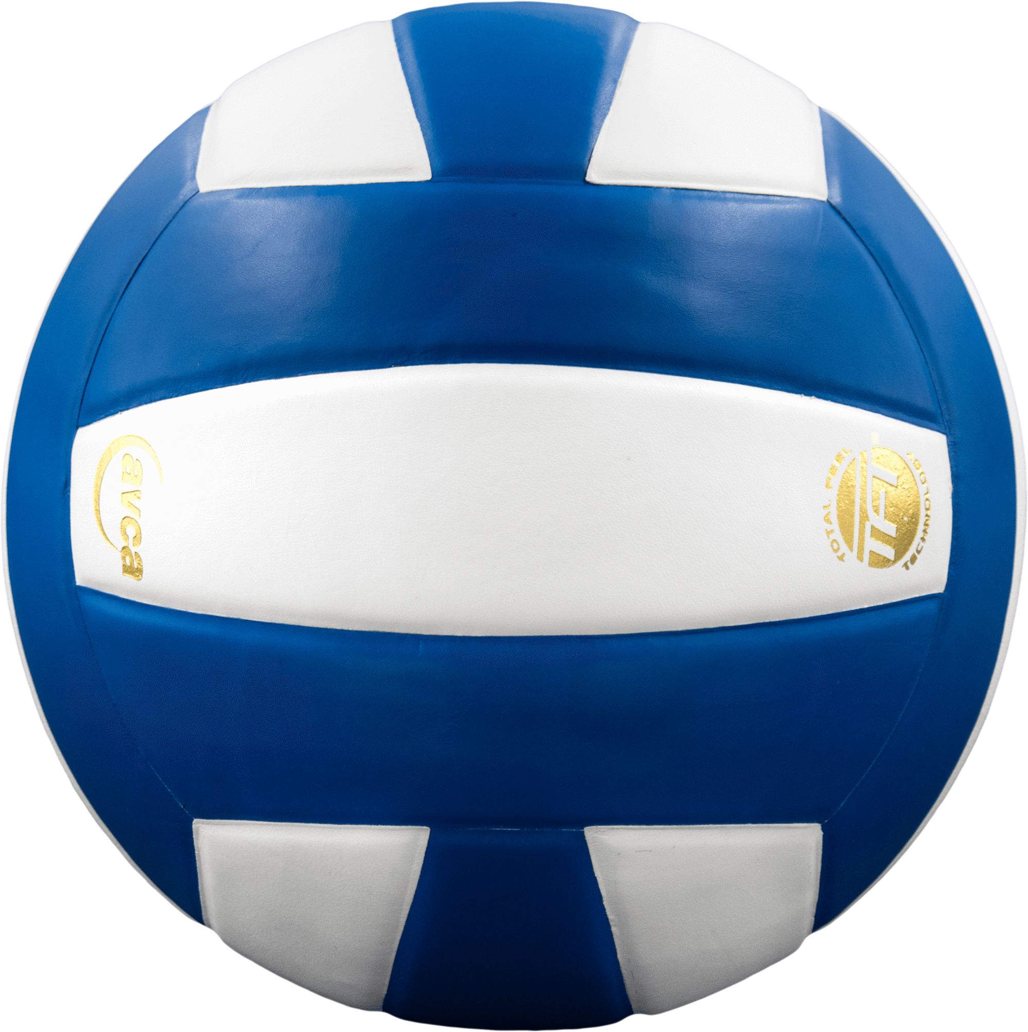 Perfection Leather Volleyball NFHS Stamped