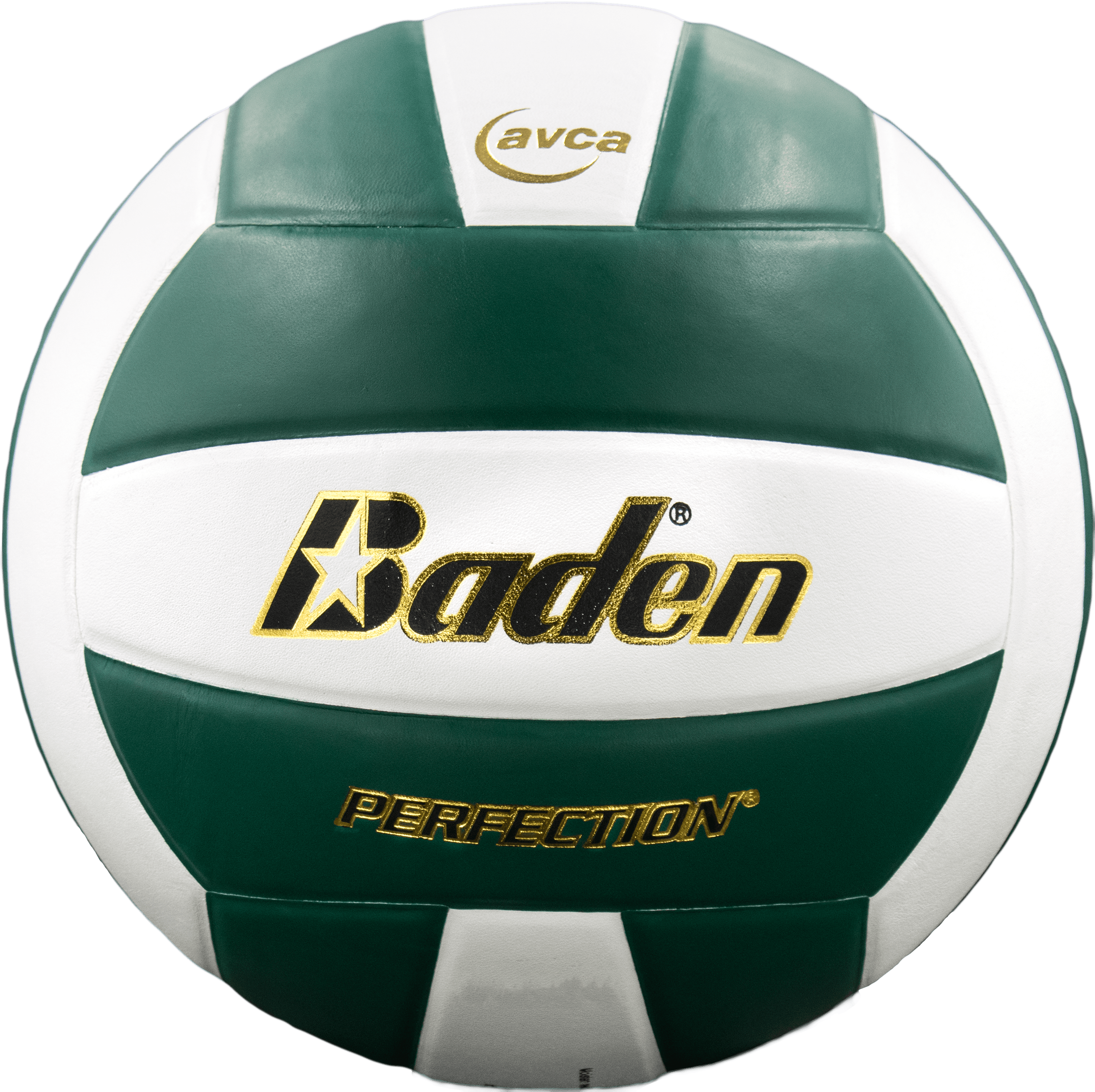 Perfection Leather Volleyball