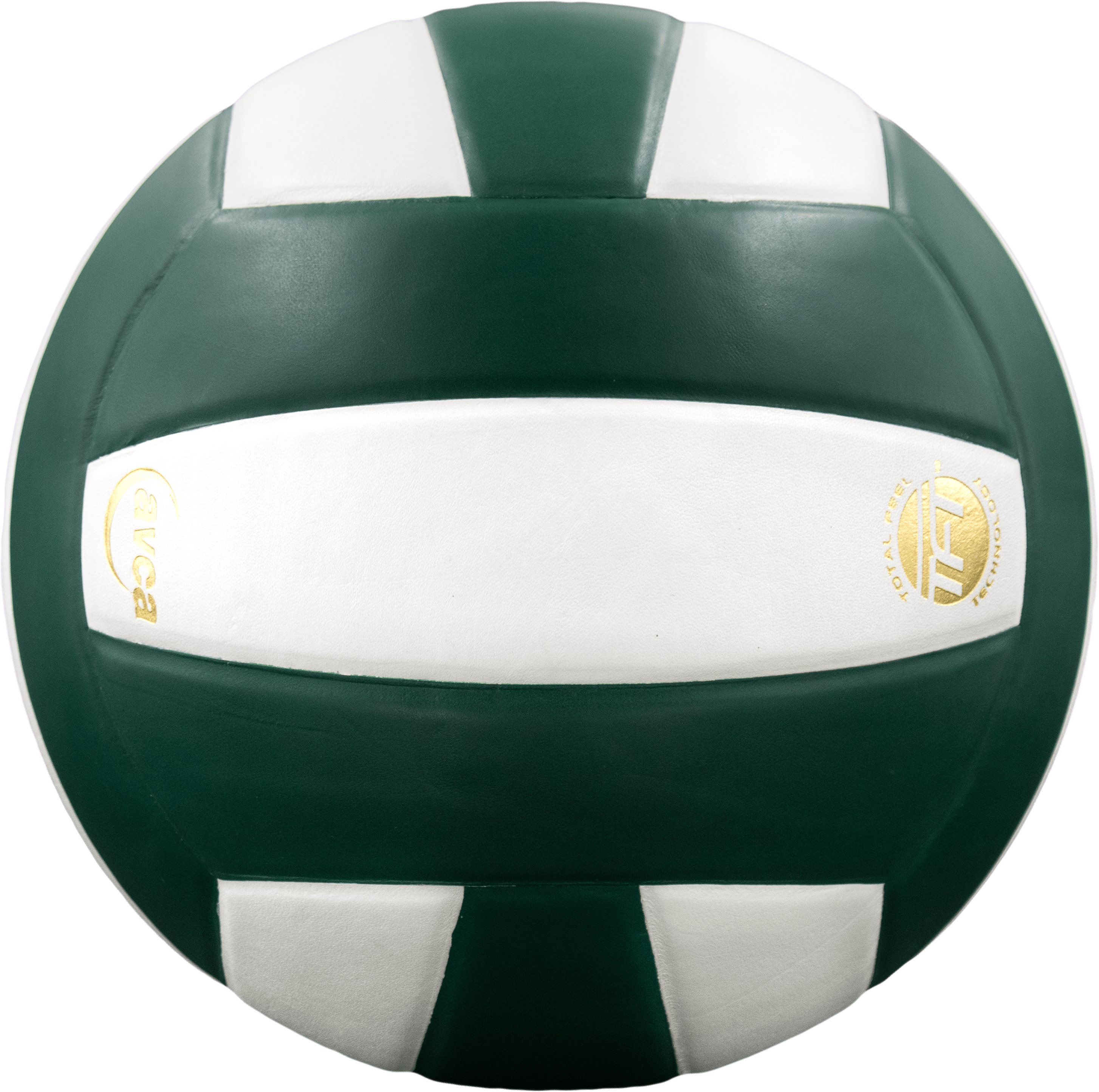 Perfection Leather Volleyball NFHS Stamped