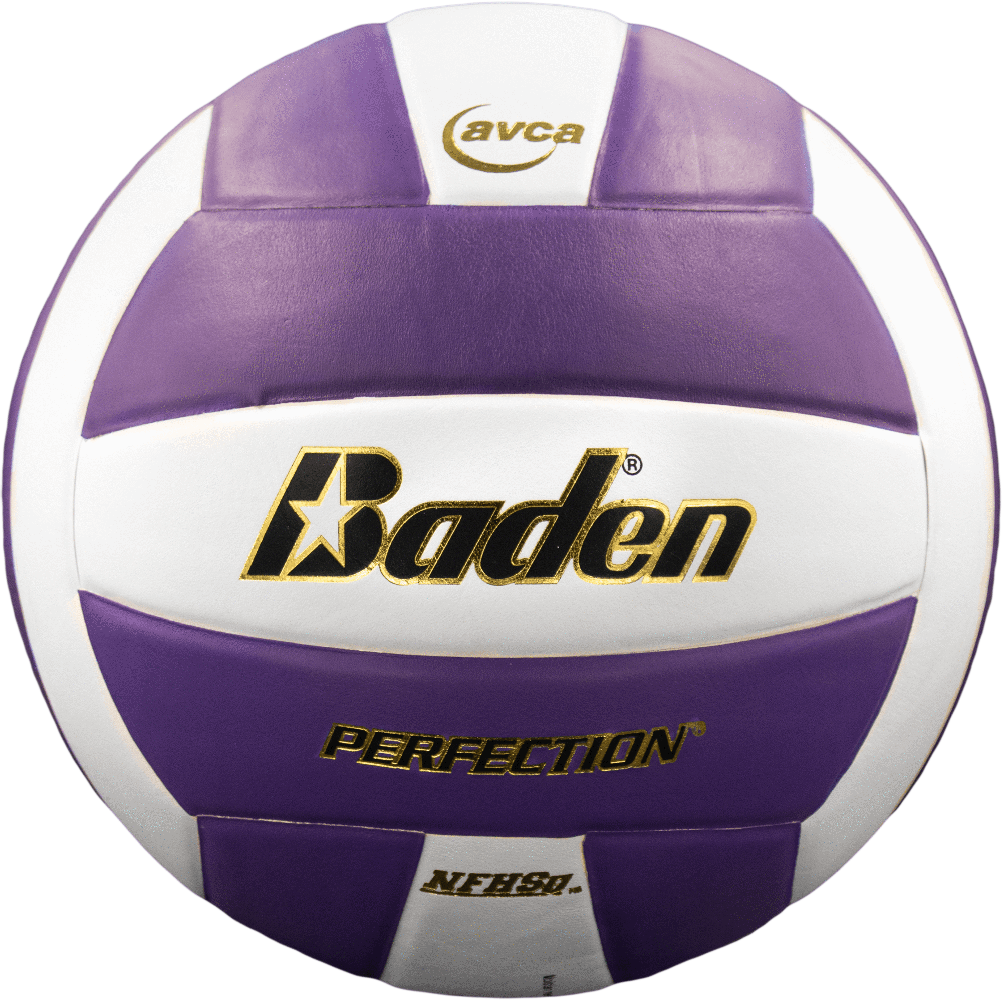 Perfection Leather Volleyball NFHS Stamped