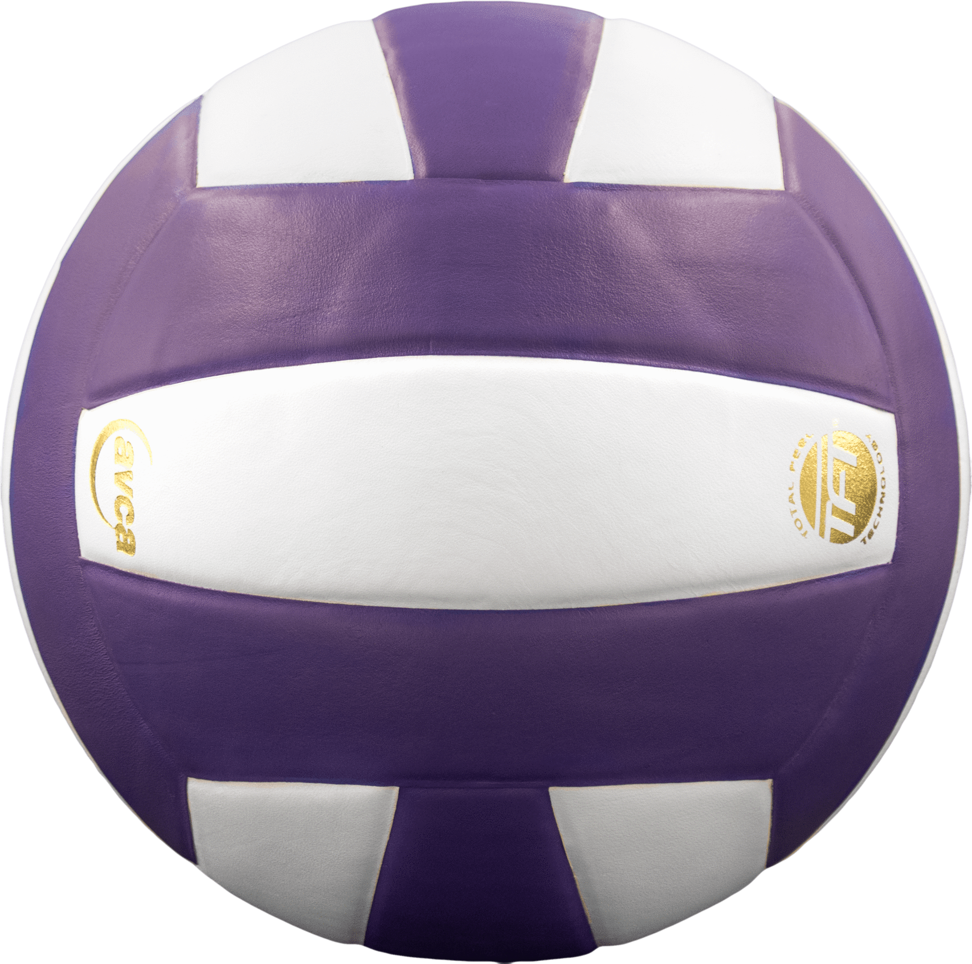 Perfection Leather Volleyball NFHS Stamped
