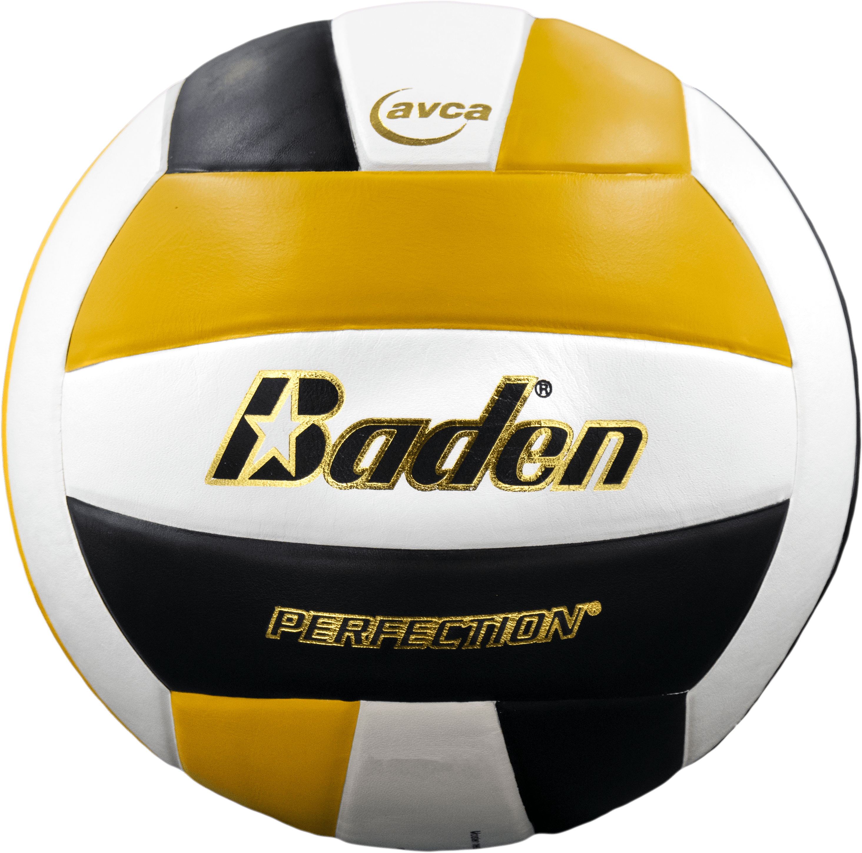 Perfection Leather Volleyball