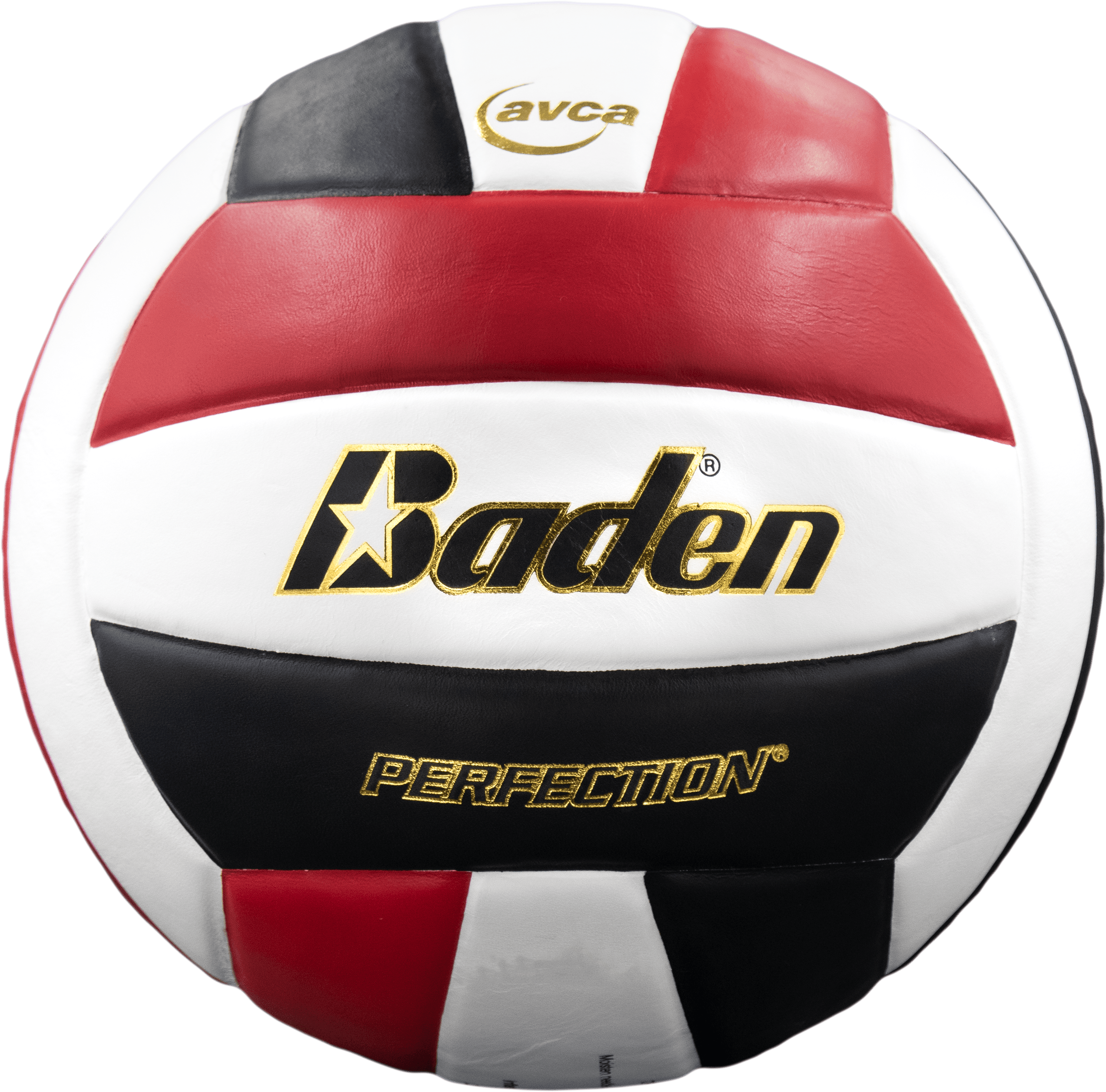 Perfection Leather Volleyball