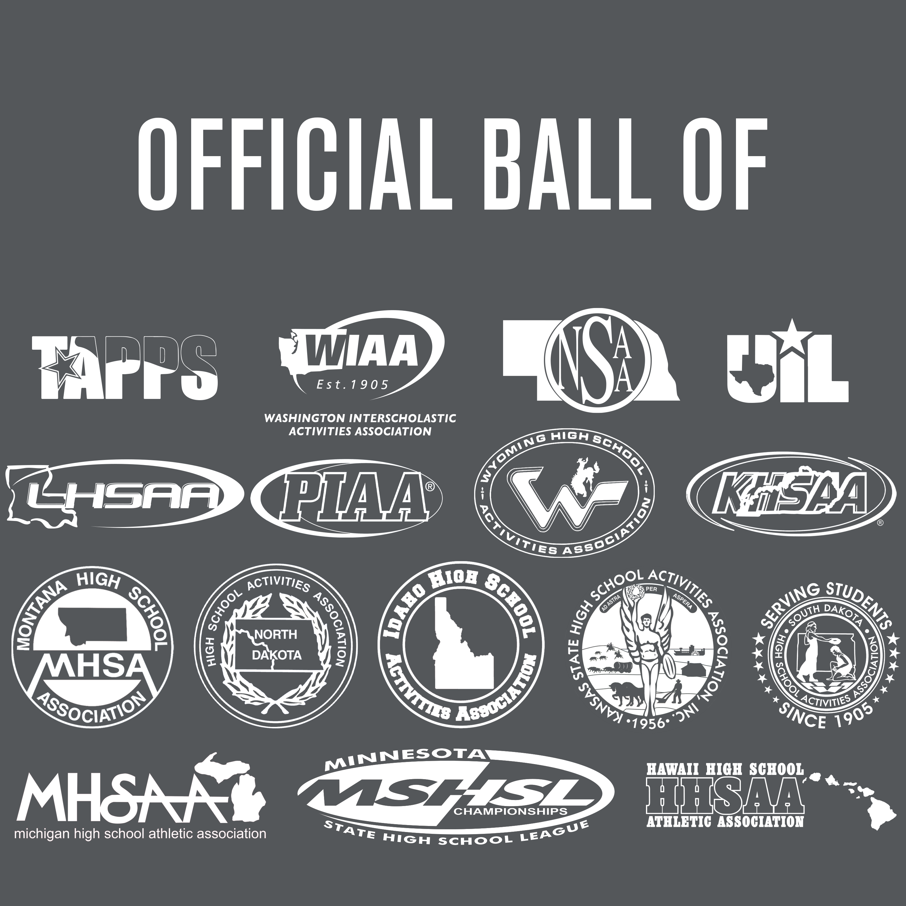 Perfection Leather Volleyball NFHS Stamped