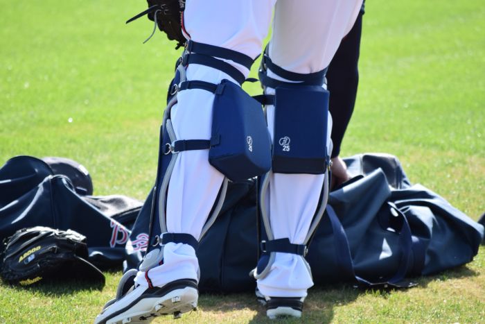 PRO KNEE SAVERS