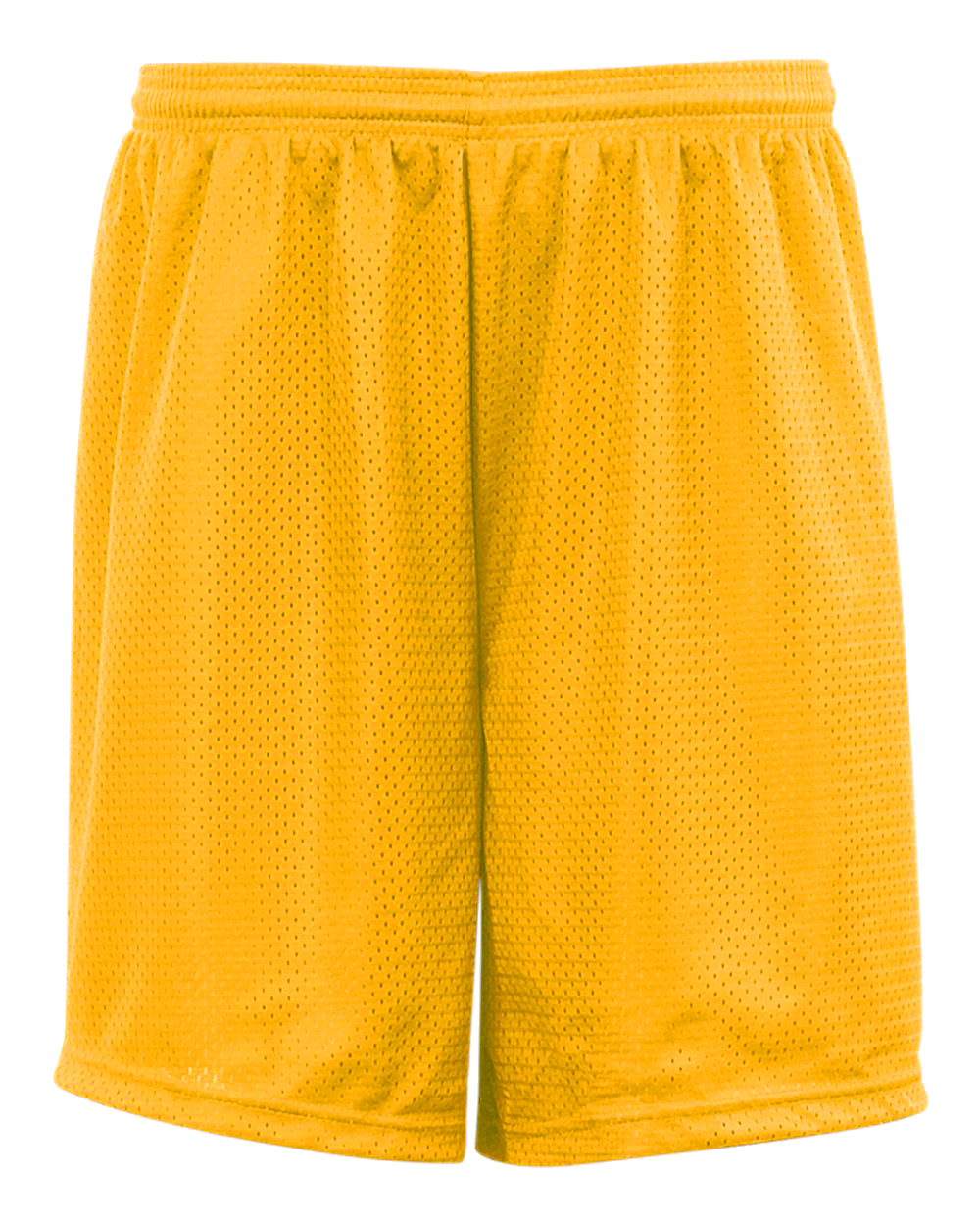 Mesh/Tricot 9 Inch Short