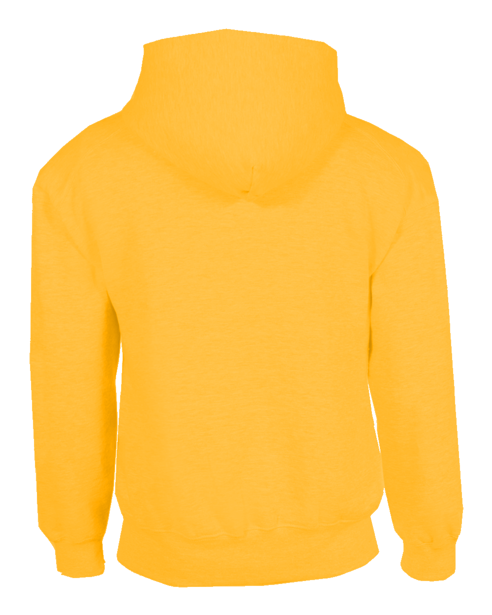Athletic Fleece Hoodie
