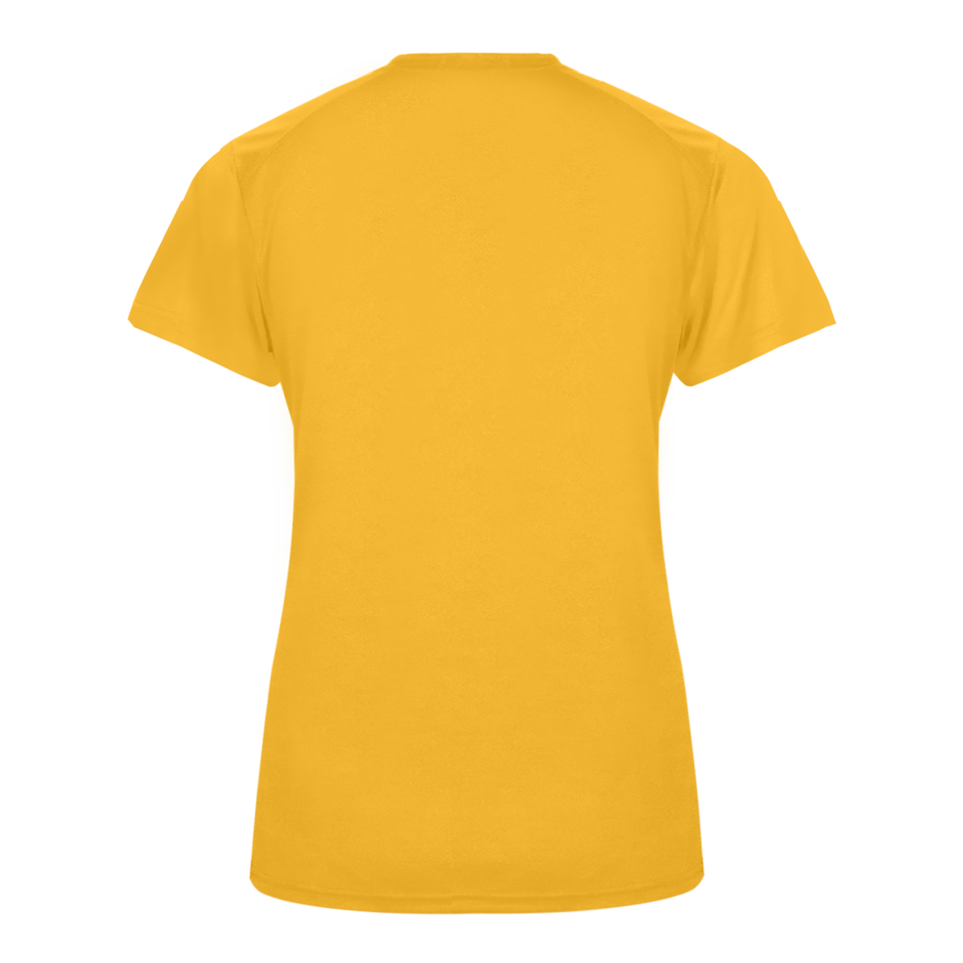 Ultimate Softlock Women's V Neck Tee