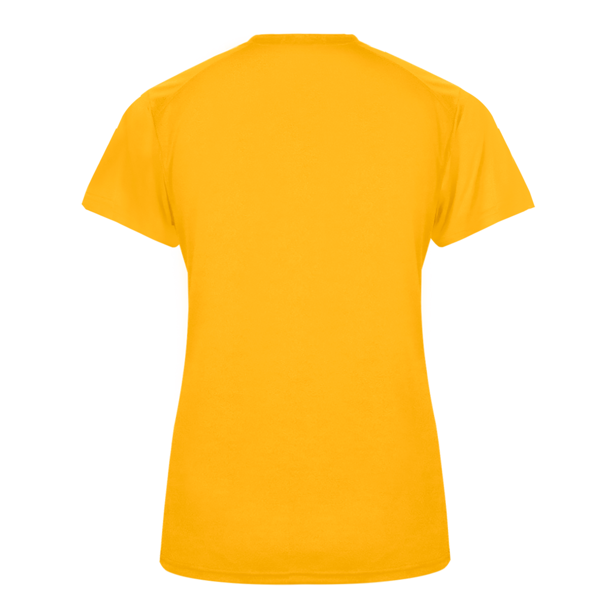 Ultimate Softlock Women's V Neck Tee