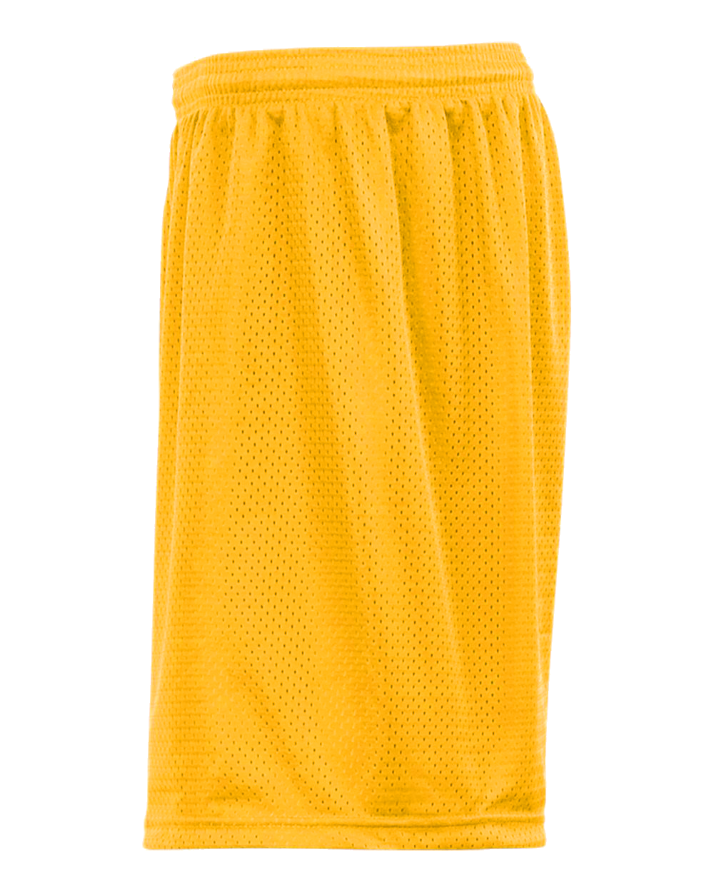 Mesh/Tricot 9 Inch Short