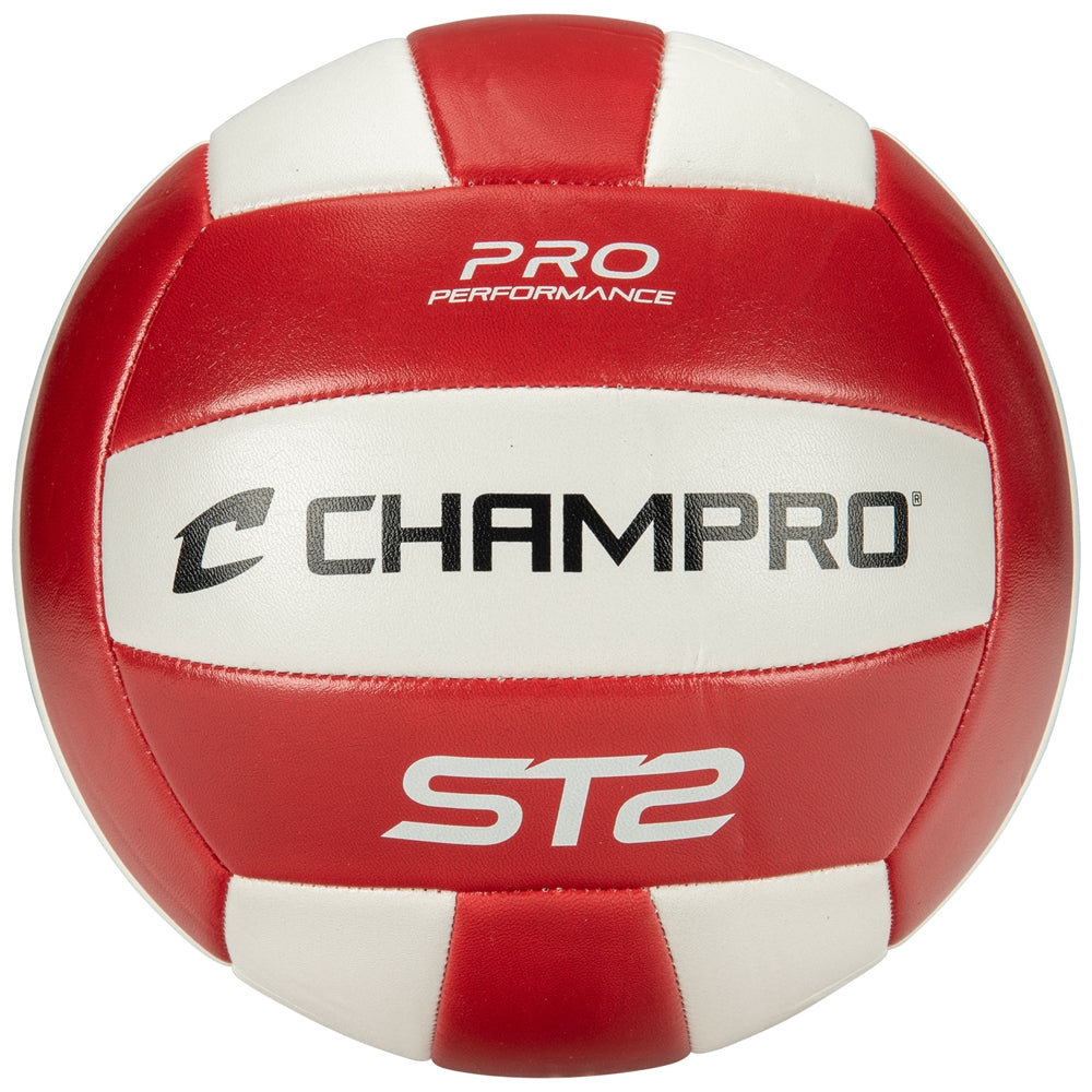 Indoor/Outdoor Volleyball