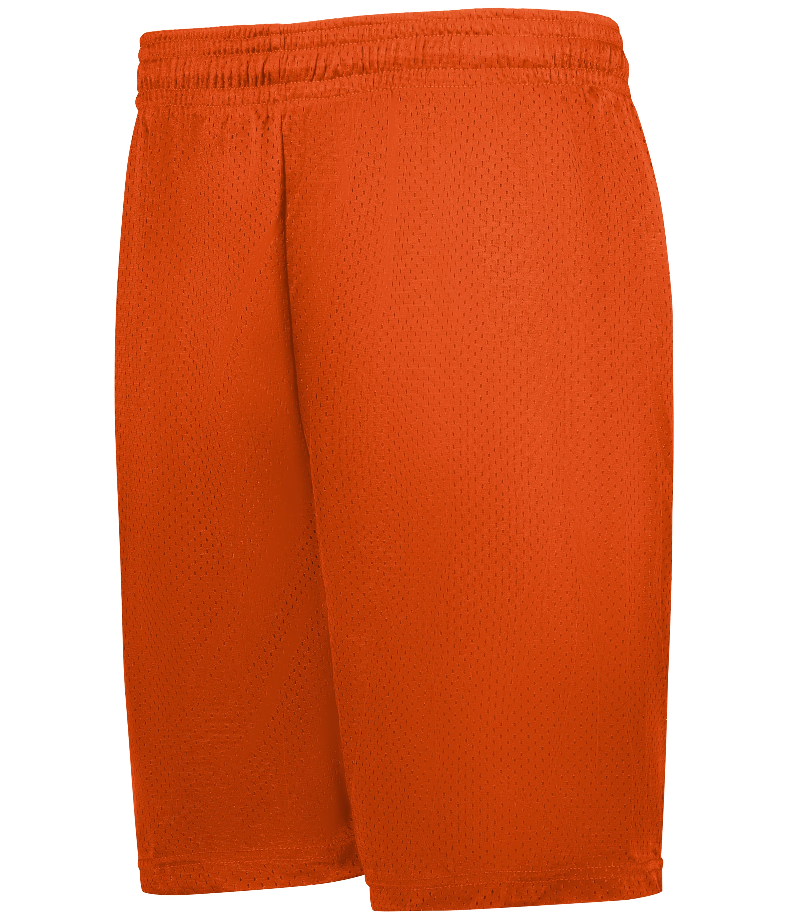 Mesh/Tricot 9 Inch Short