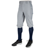 Triple Crown 2.0 Pinstripe Knicker 