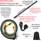 Power Swing Pro Bundle - Baseball & Softball Swing Trainer - 2 Attachment Points - Includes 4 Week Bat Speed Accelerator Program