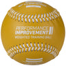 Weighted Training Baseballs