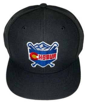 [CHSBUA] Flex Fit 6-Stitch Black Hat - Colorado High School Baseball Umpire Association - Pro Game Sports