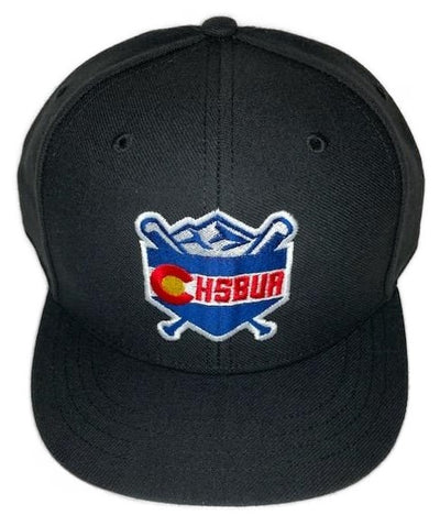 [CHSBUA] Flex Fit 6-Stitch Black Hat - Colorado High School Baseball Umpire Association - Pro Game Sports