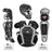 Collection of catcher's protective gear including helmet, chest protector, and shin guards on a white background.