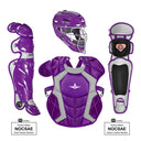 Purple baseball catcher's gear set including helmet, chest protector, and leg guards on a white background.
