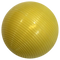 Champions Croquet Ball