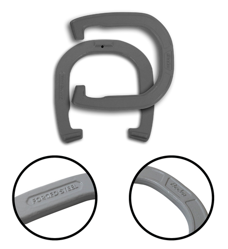 Champions Horseshoes Set
