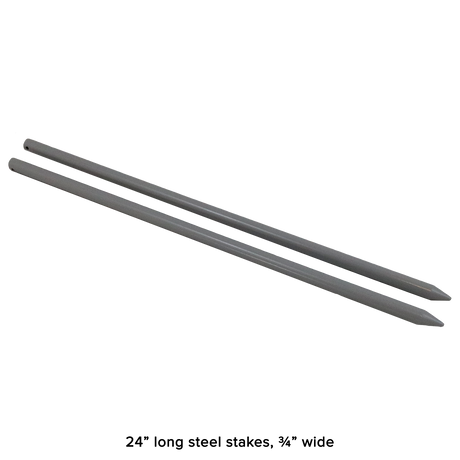 Champions Horseshoes Set