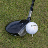 Used Titleist Mix Golf Balls - Mesh Bag