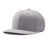 Pennant Snapback