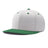 Pennant Snapback