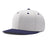 Pennant Snapback