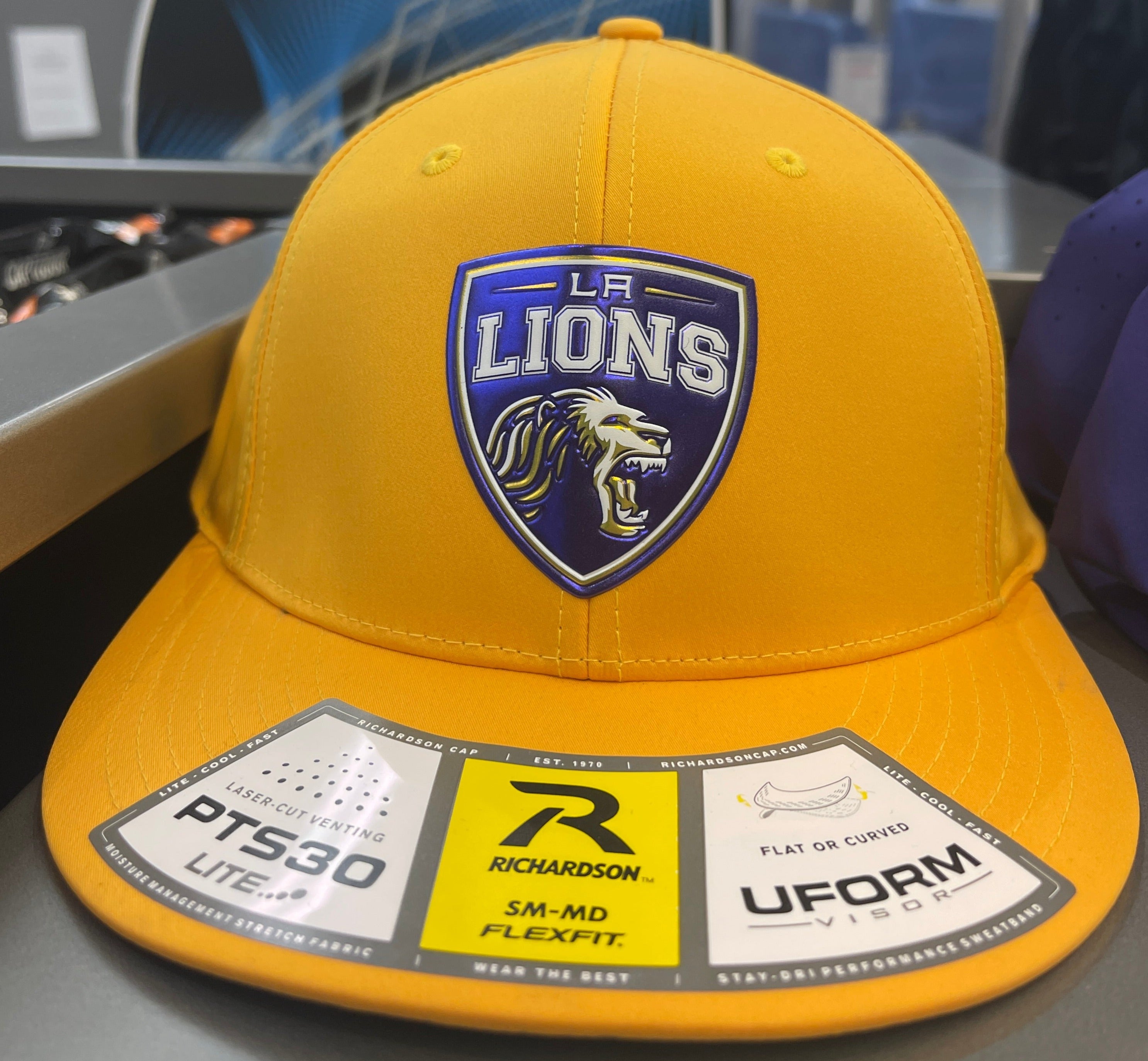 JR LIONS AAA HAT