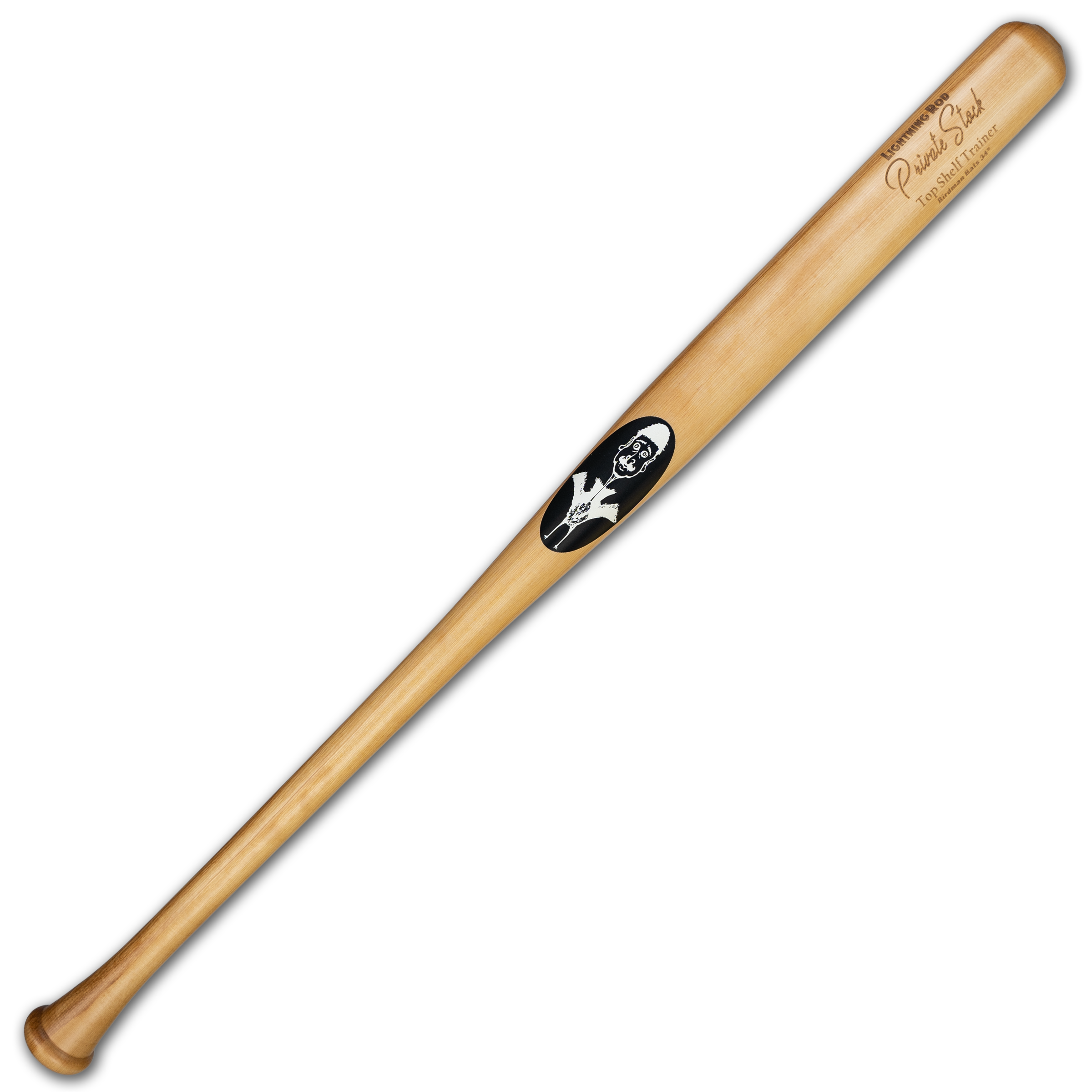 Baseball Training Bat