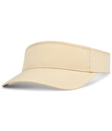 SPORT PRO VISOR