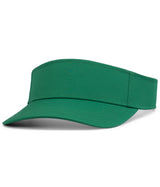 SPORT PRO VISOR