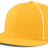 Momentum Team Snapback Cap
