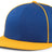 Momentum Team Snapback Cap