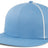 Momentum Team Snapback Cap