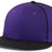 Momentum Team Snapback Cap