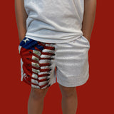 Pastime Shorts - Pro Game Sports