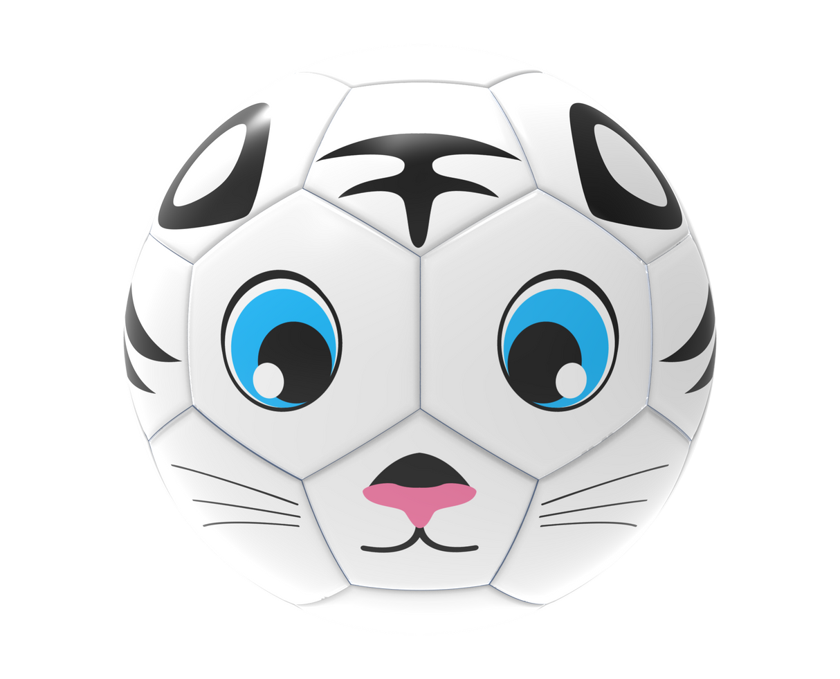 Fun Recreational soccer ball - Pro Game Sports