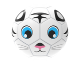 Fun Recreational soccer ball - Pro Game Sports